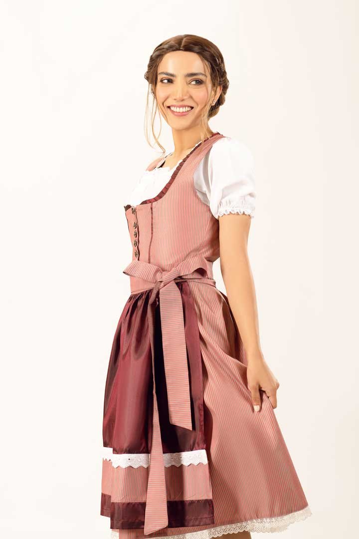 Heidi Tea Pink Midi Dirndl Dress - Image 6